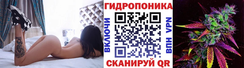 Бошки марихуана конопля  закладки  Волоколамск 